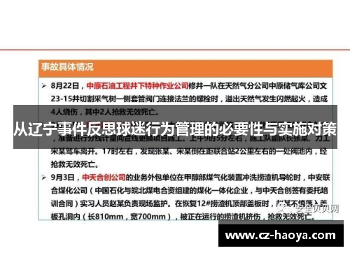 从辽宁事件反思球迷行为管理的必要性与实施对策