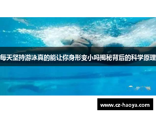 每天坚持游泳真的能让你身形变小吗揭秘背后的科学原理