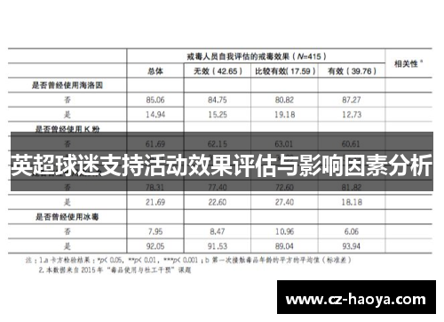 英超球迷支持活动效果评估与影响因素分析 英超球迷支持活动效果评估与影响因素分析