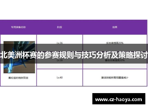 北美洲杯赛的参赛规则与技巧分析及策略探讨