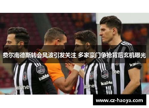 费尔南德斯转会风波引发关注 多家豪门争抢背后玄机曝光